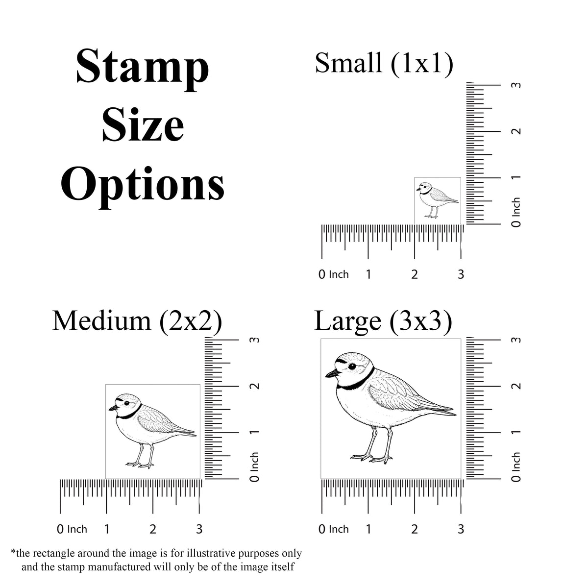 Piping Plover Rubber Stamp