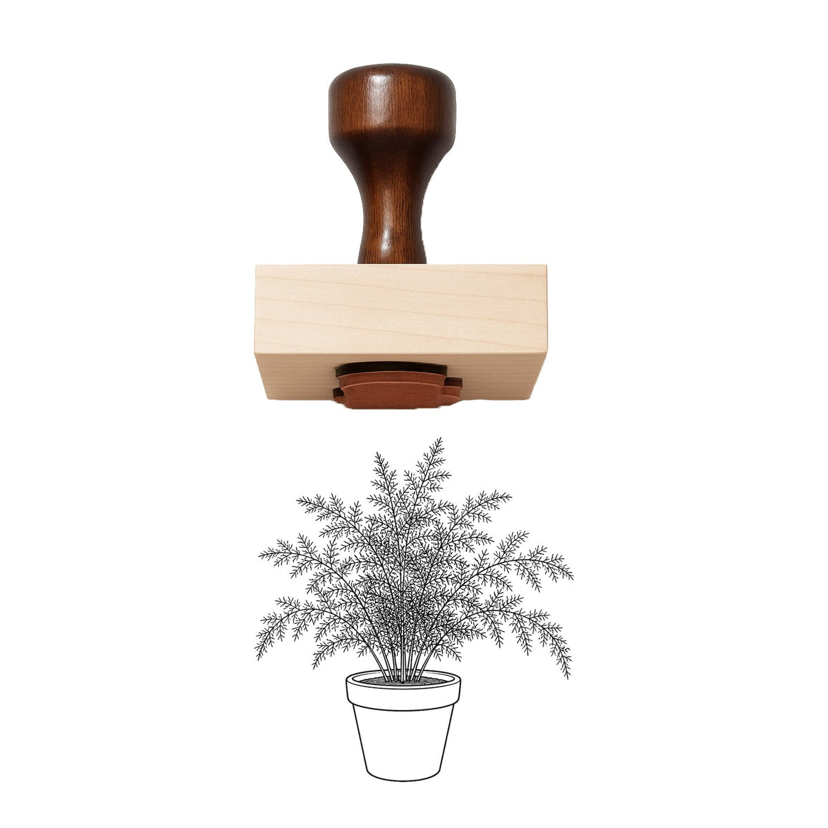 Potted Asparagus Fern Rubber Stamp
