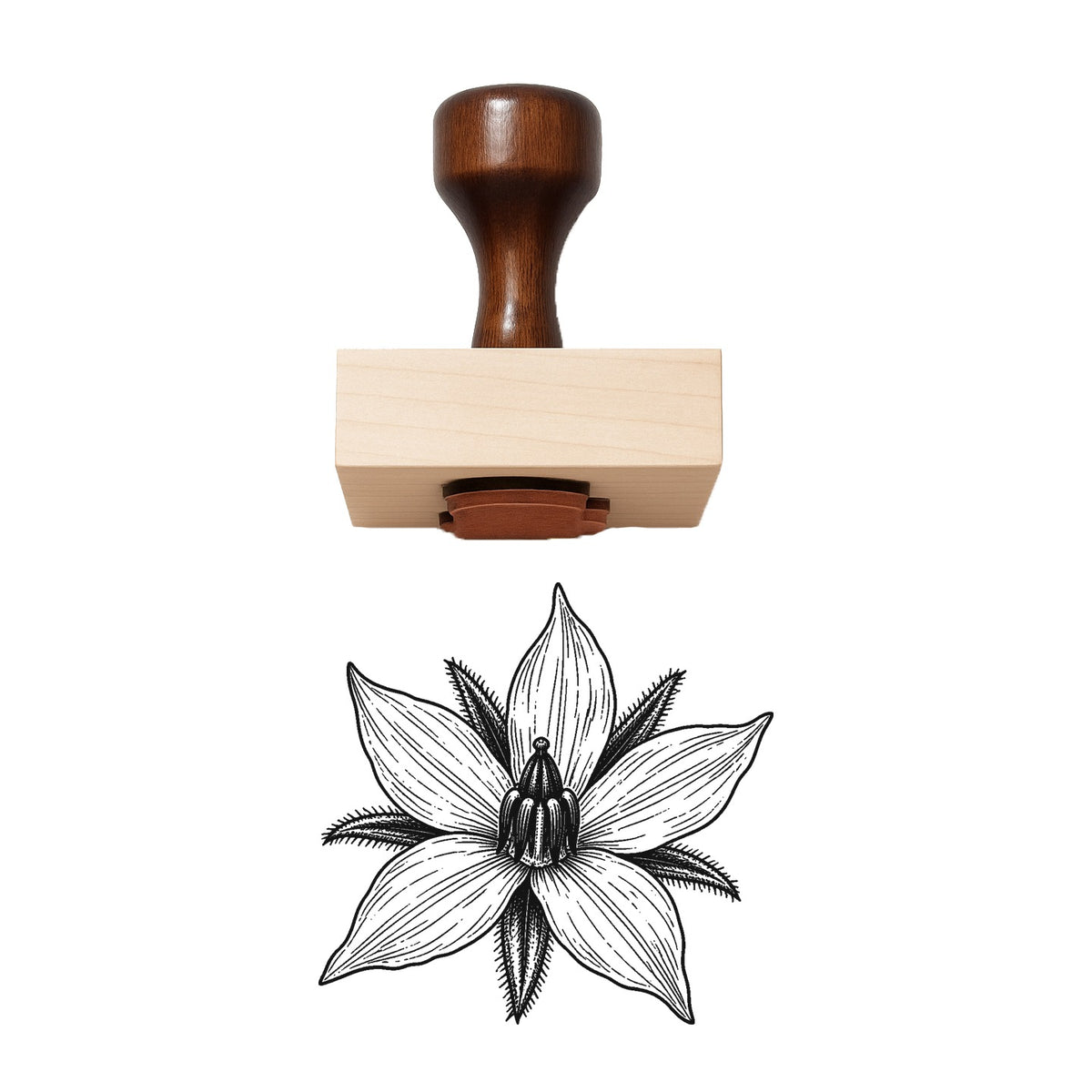 Borage Star Bloom Head Rubber Stamp