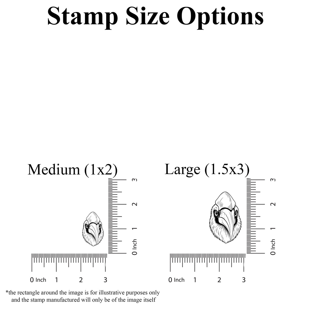 Realistic Hornbill Head Rubber Stamp