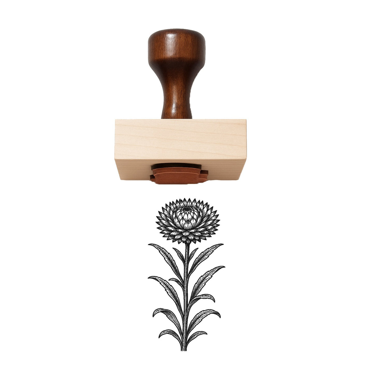 Strawflower Stem Rubber Stamp