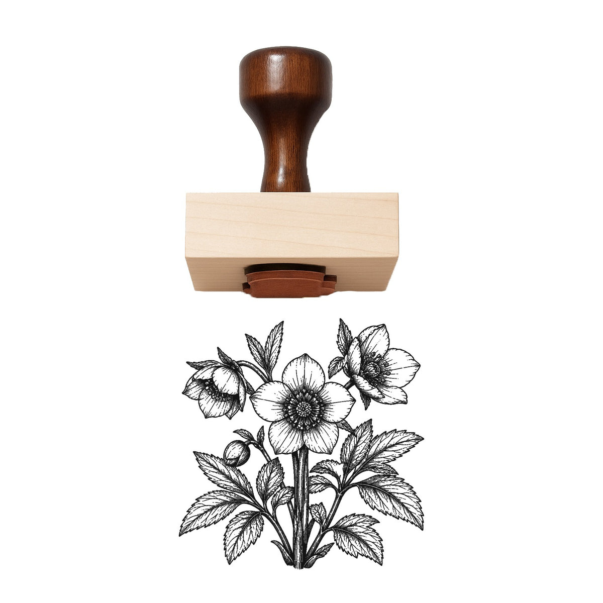 Hellebore Flower Cluster Rubber Stamp