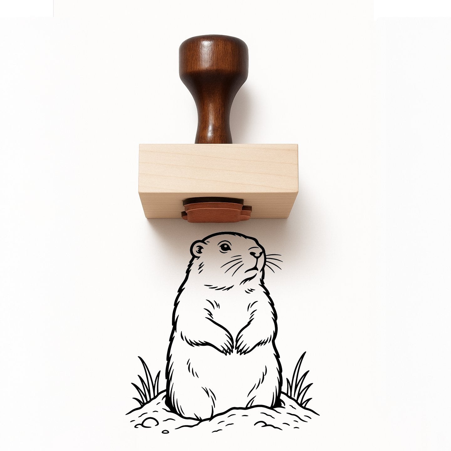 Groundhog Rubber Stamp