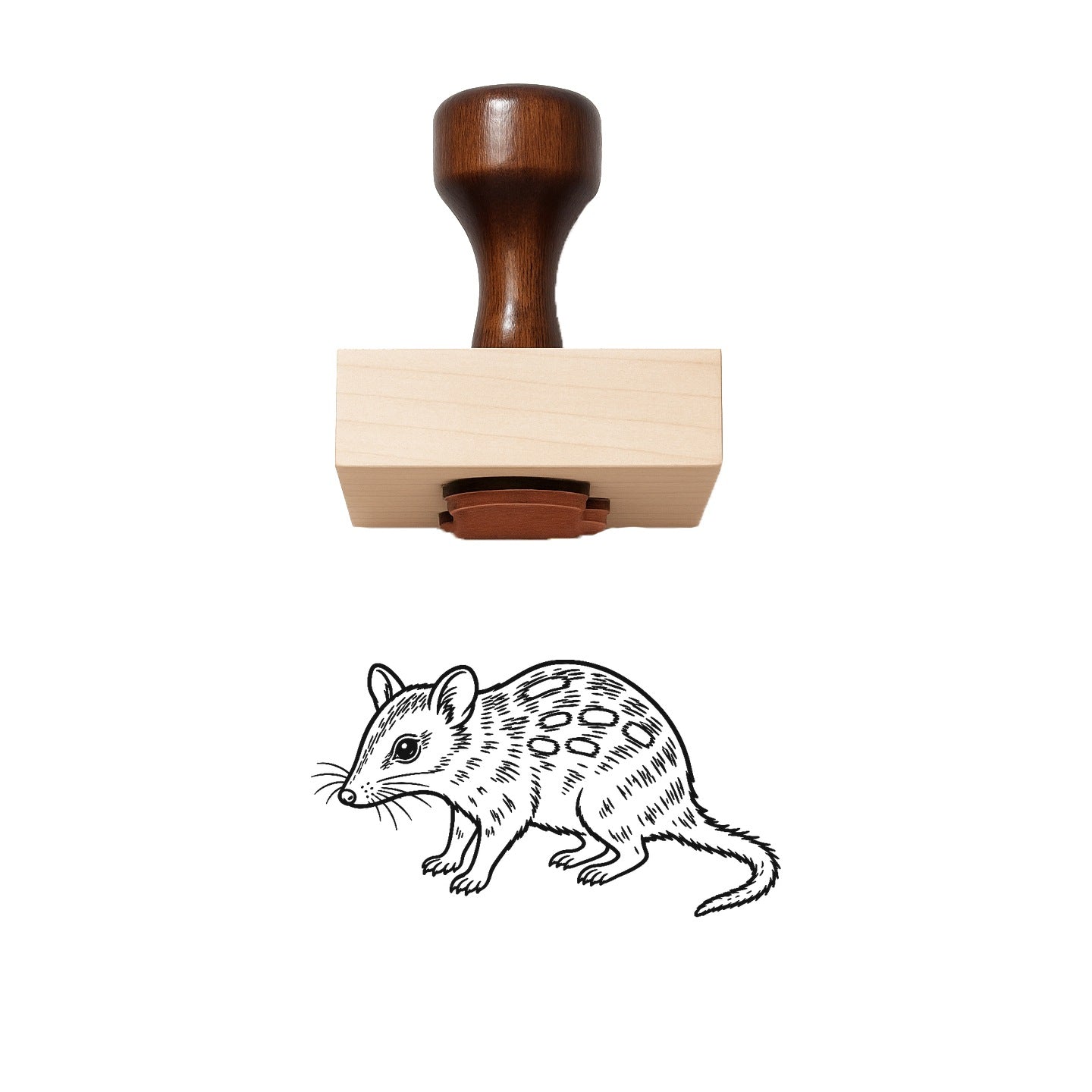 Concertina Rubber Stamp