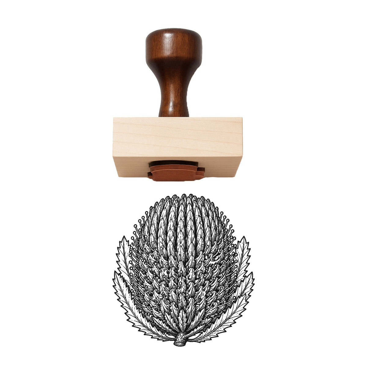 Banksia Cone Bloom Head Rubber Stamp