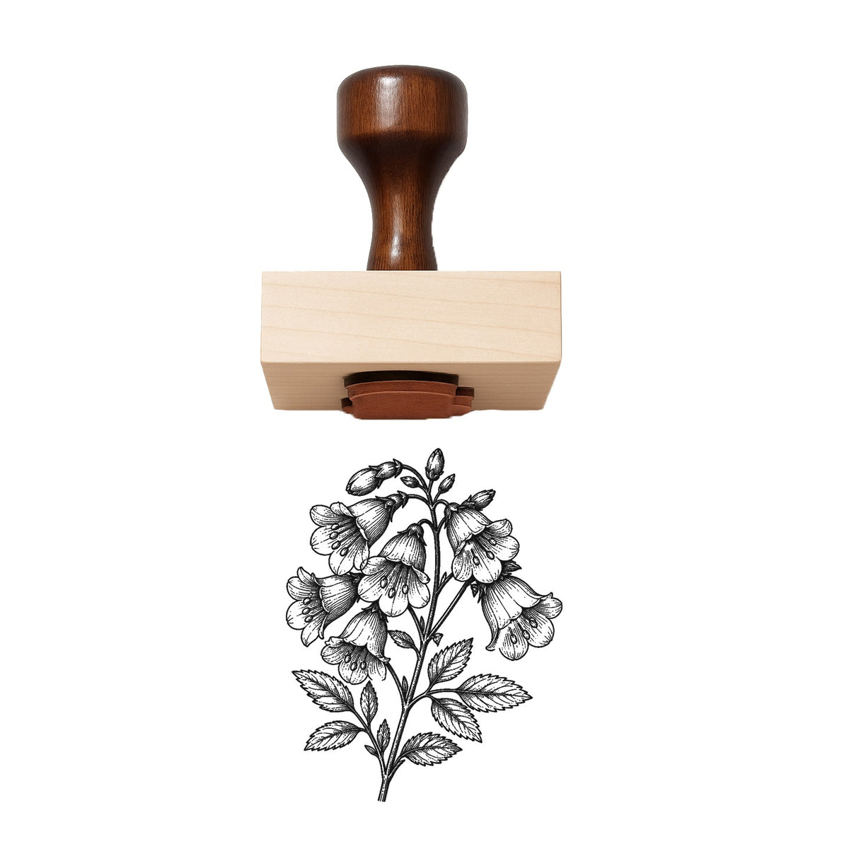 Jacob’s Ladder Bloom Cluster Rubber Stamp