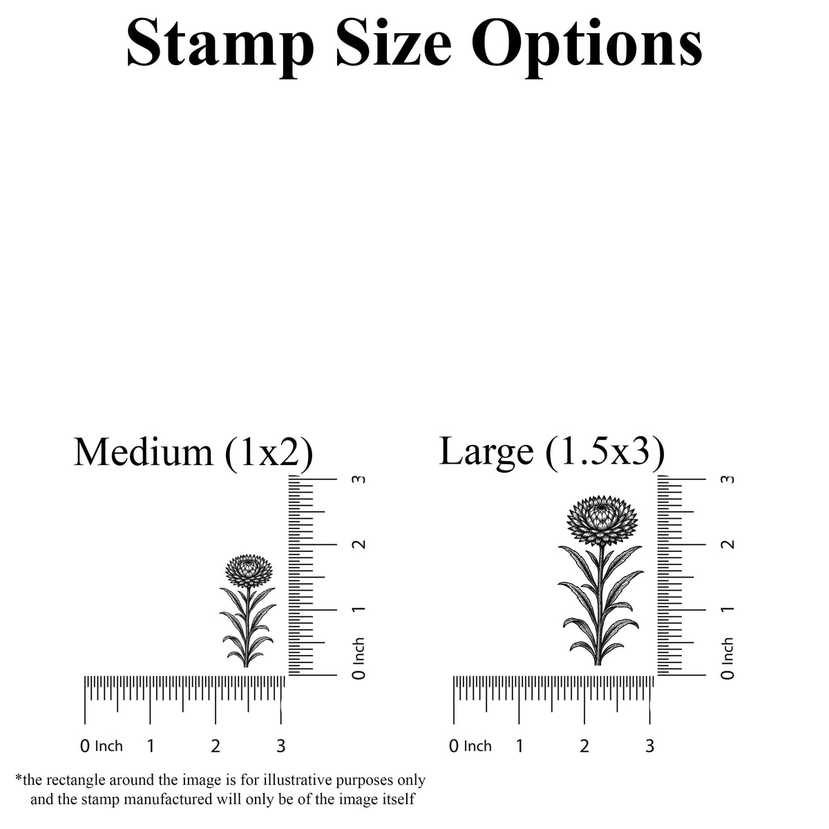 Strawflower Stem Rubber Stamp