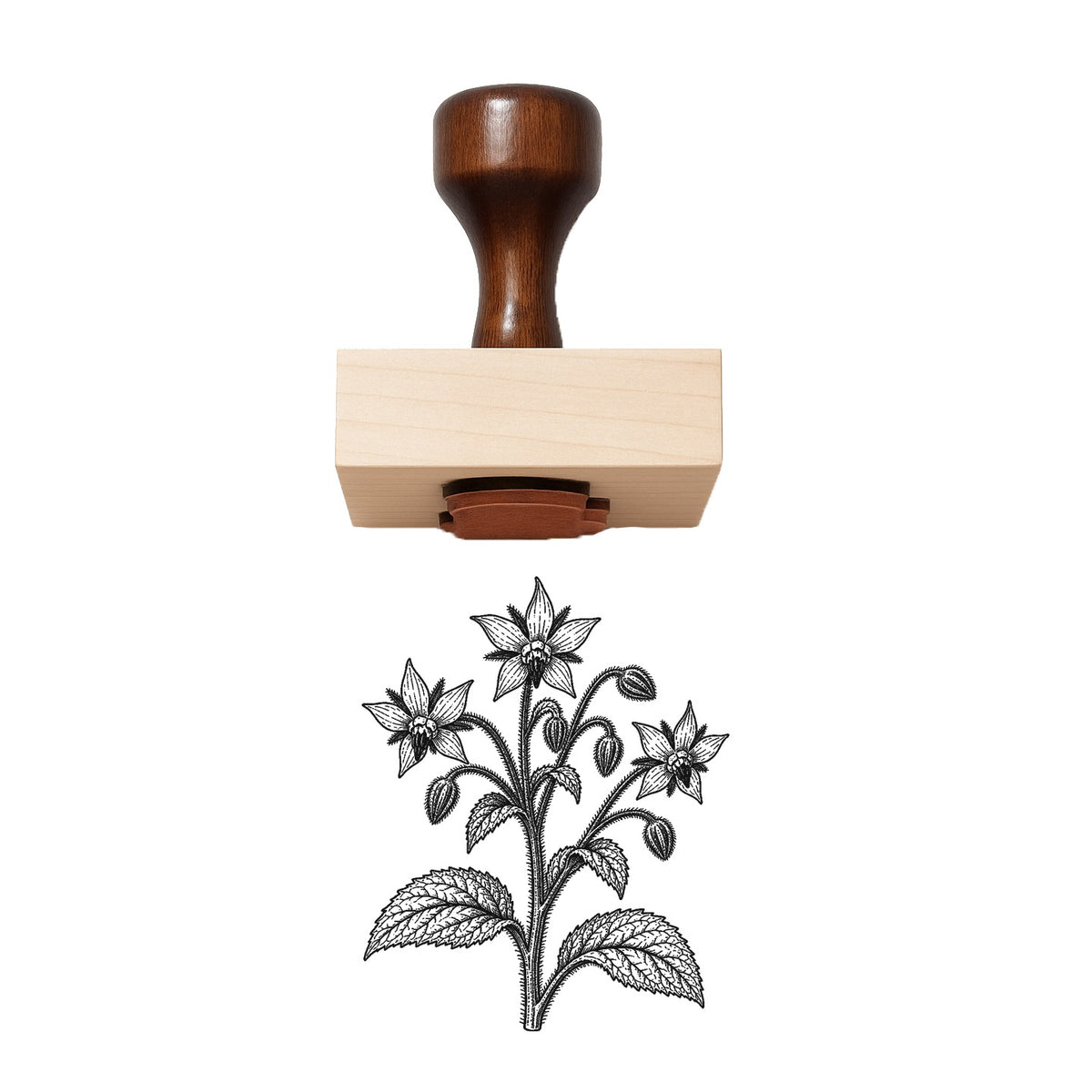 Borage Stem Rubber Stamp