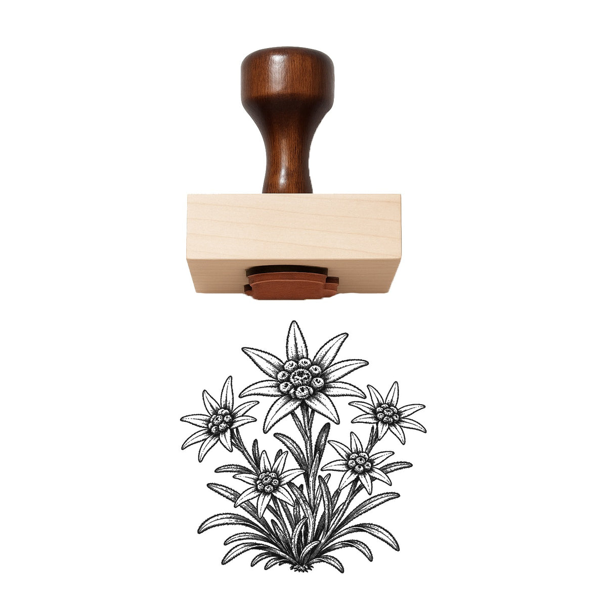 Edelweiss Cluster Rubber Stamp