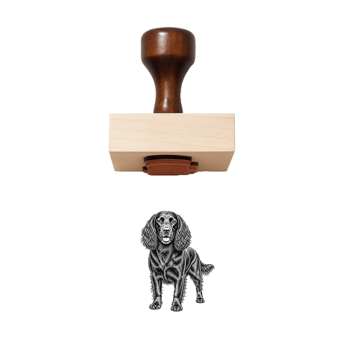 Boykin Spaniel Rubber Stamp