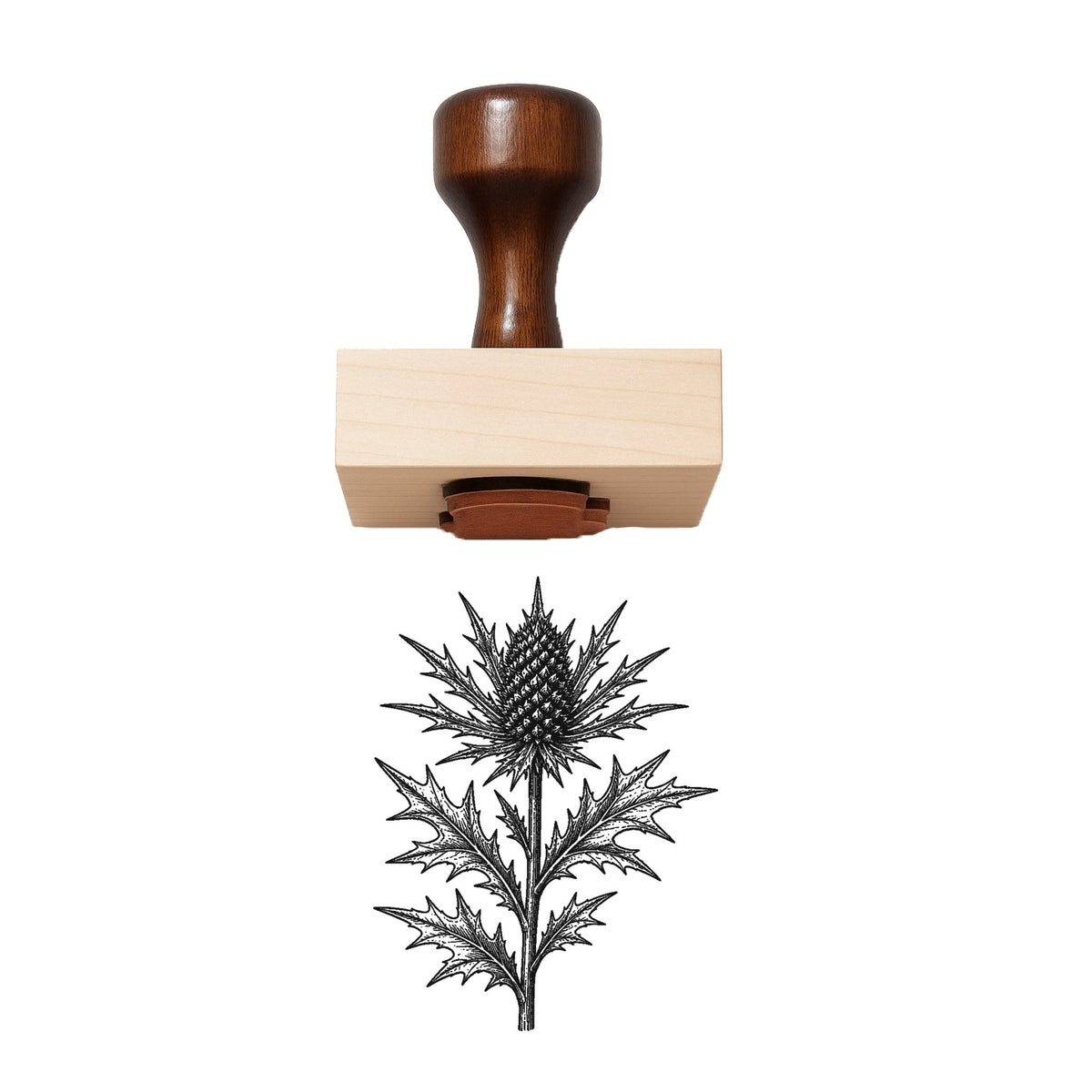 Sea Holly Stem Rubber Stamp