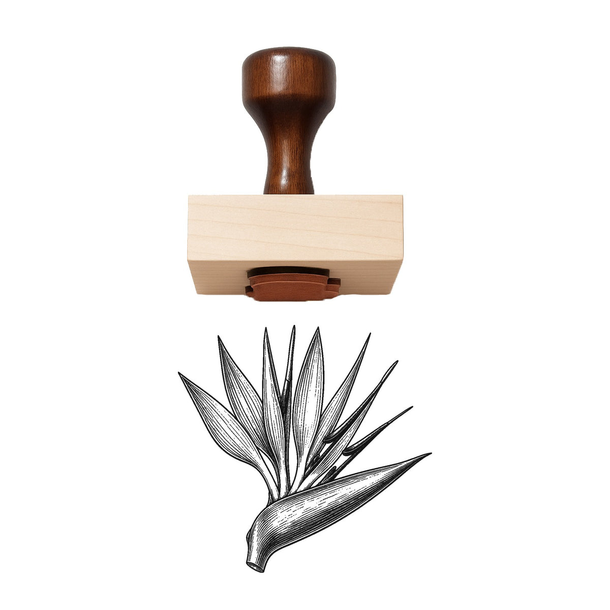 Bird Of Paradise Bloom Head Rubber Stamp