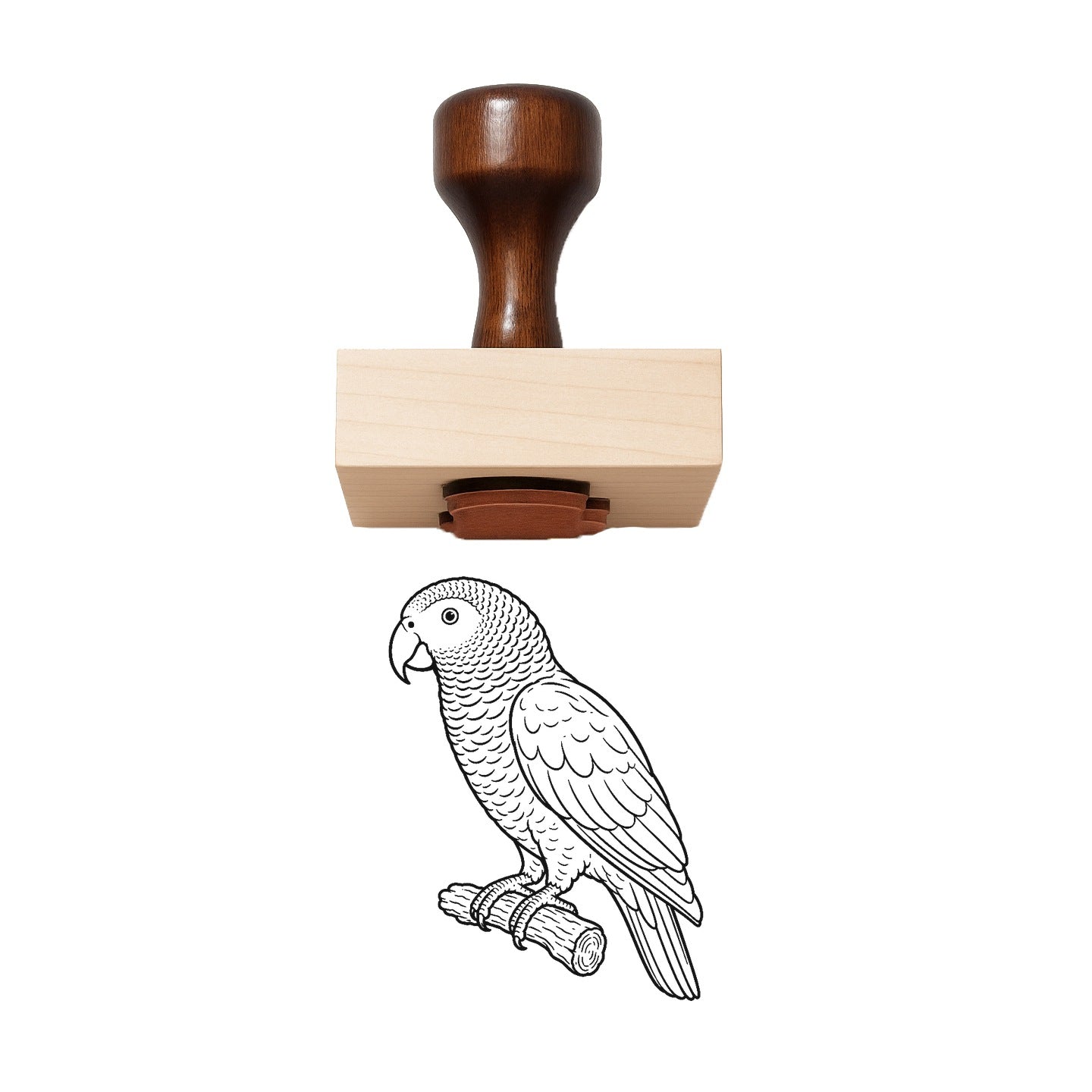 African Grey Parrot Rubber Stamp