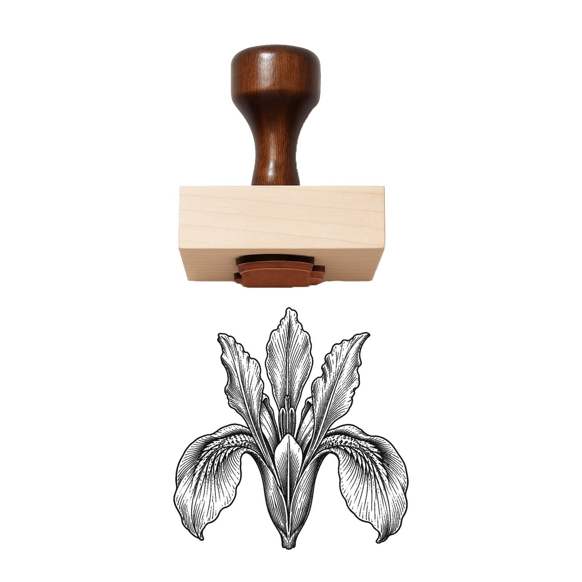 Siberian Iris Bloom Head Rubber Stamp
