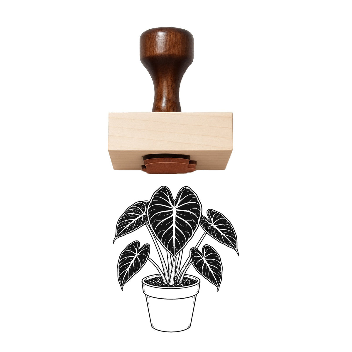 Potted Alocasia Black Velvet Rubber Stamp
