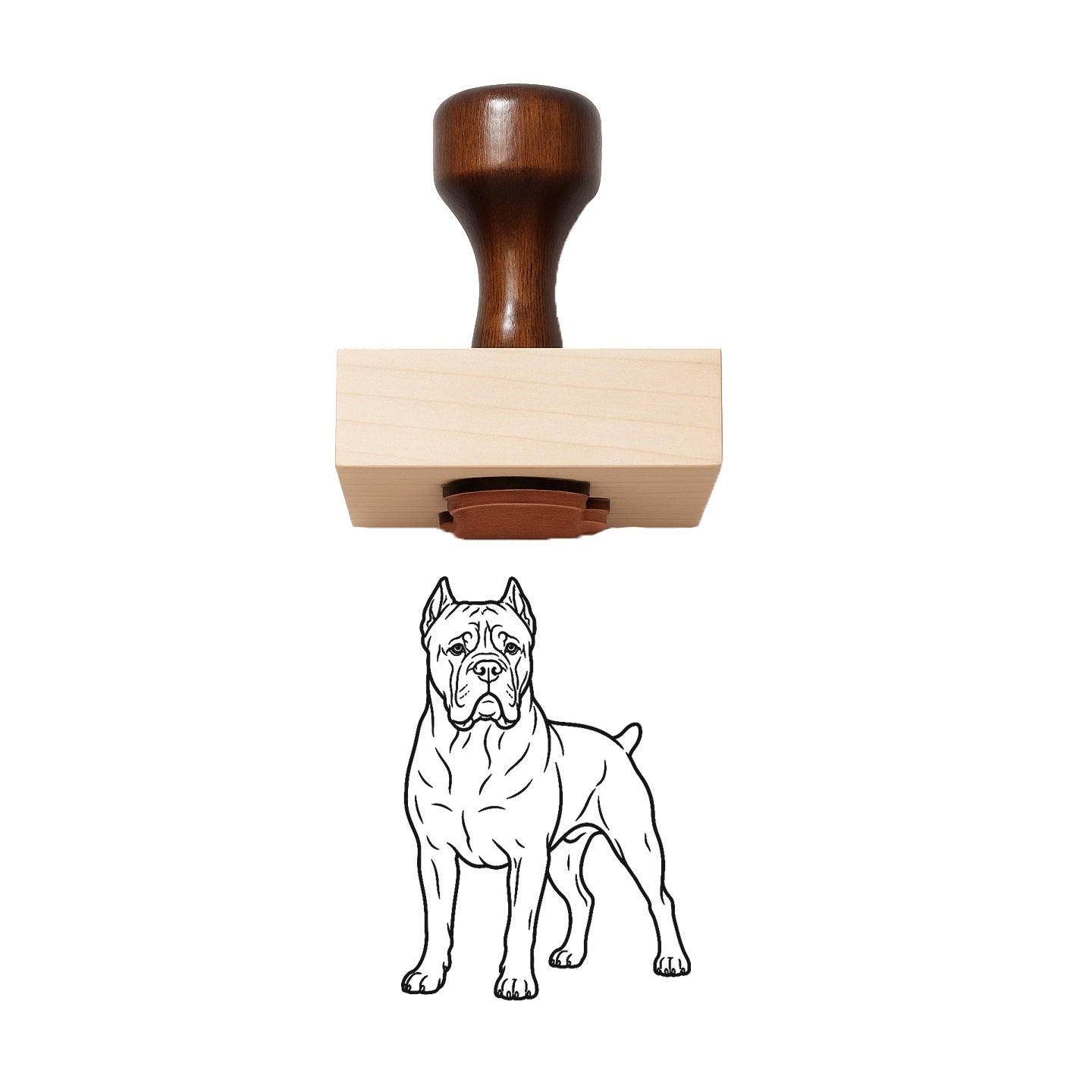 Cane Corso Rubber Stamp