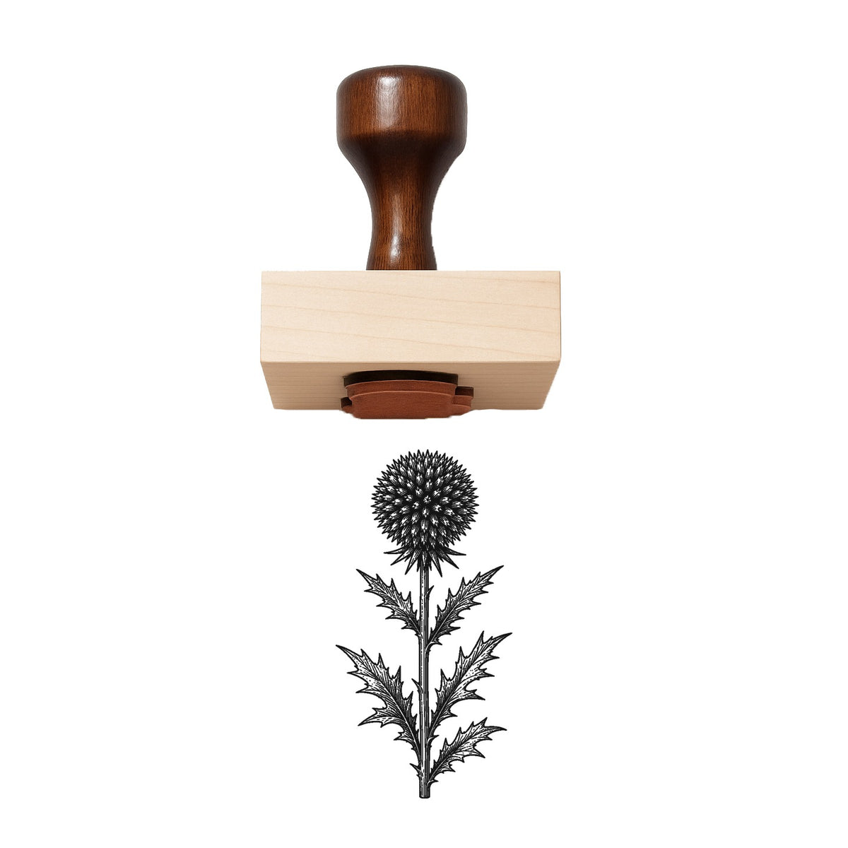Globe Thistle Stem Rubber Stamp