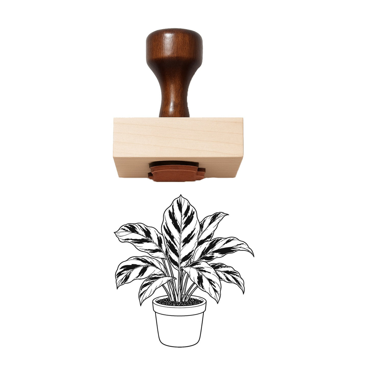 Potted Calathea White Fusion Rubber Stamp