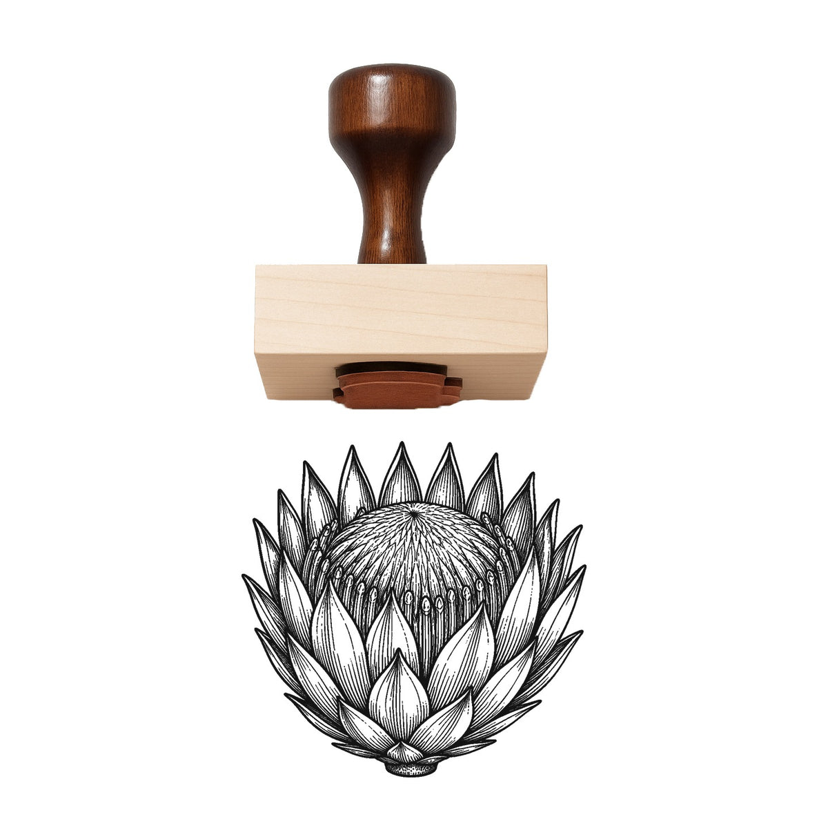 Protea Bloom Head Rubber Stamp