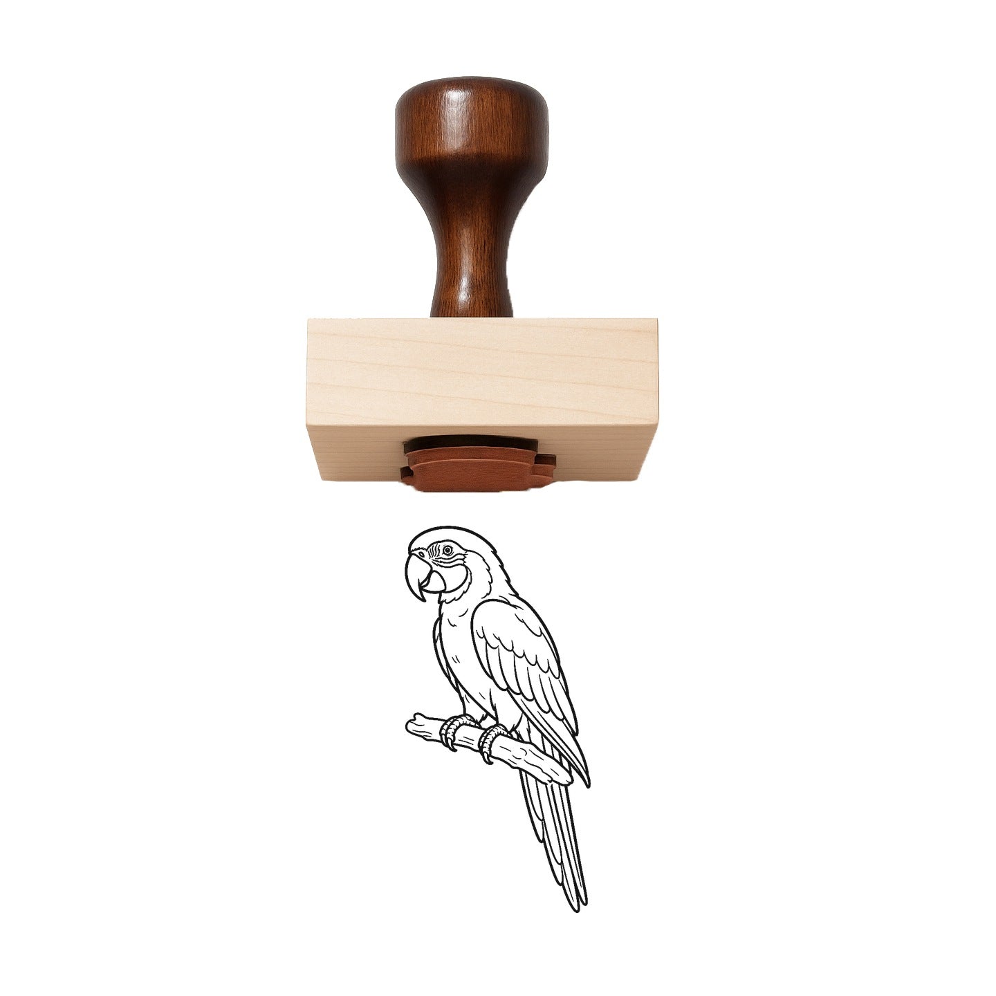 Macaw Rubber Stamp