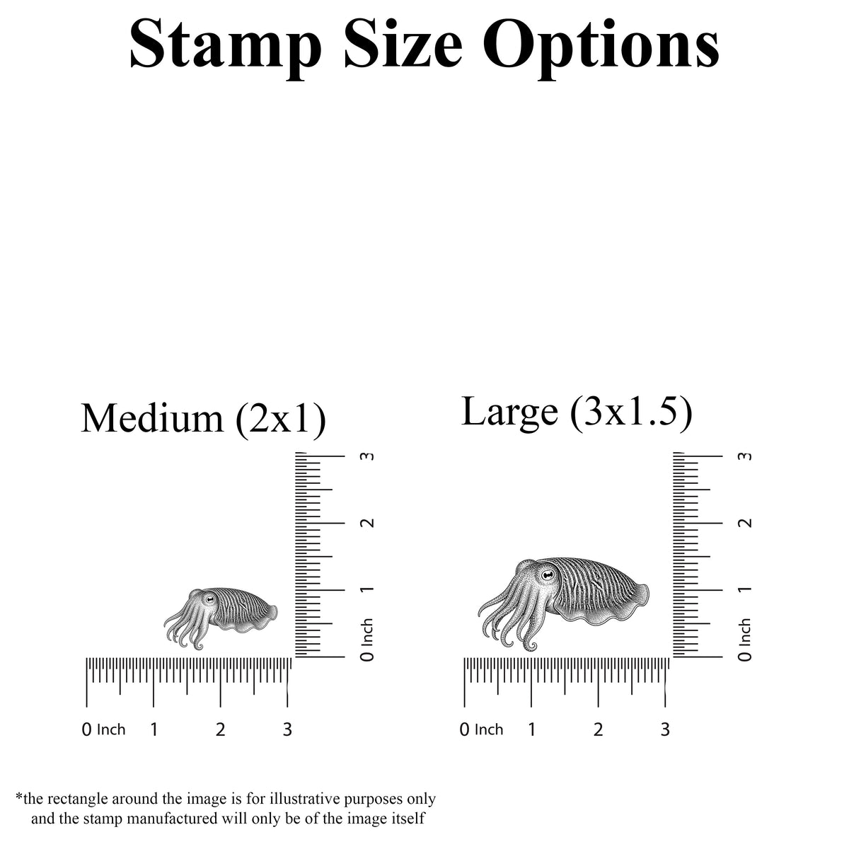 Cuttlefish Rubber Stamp