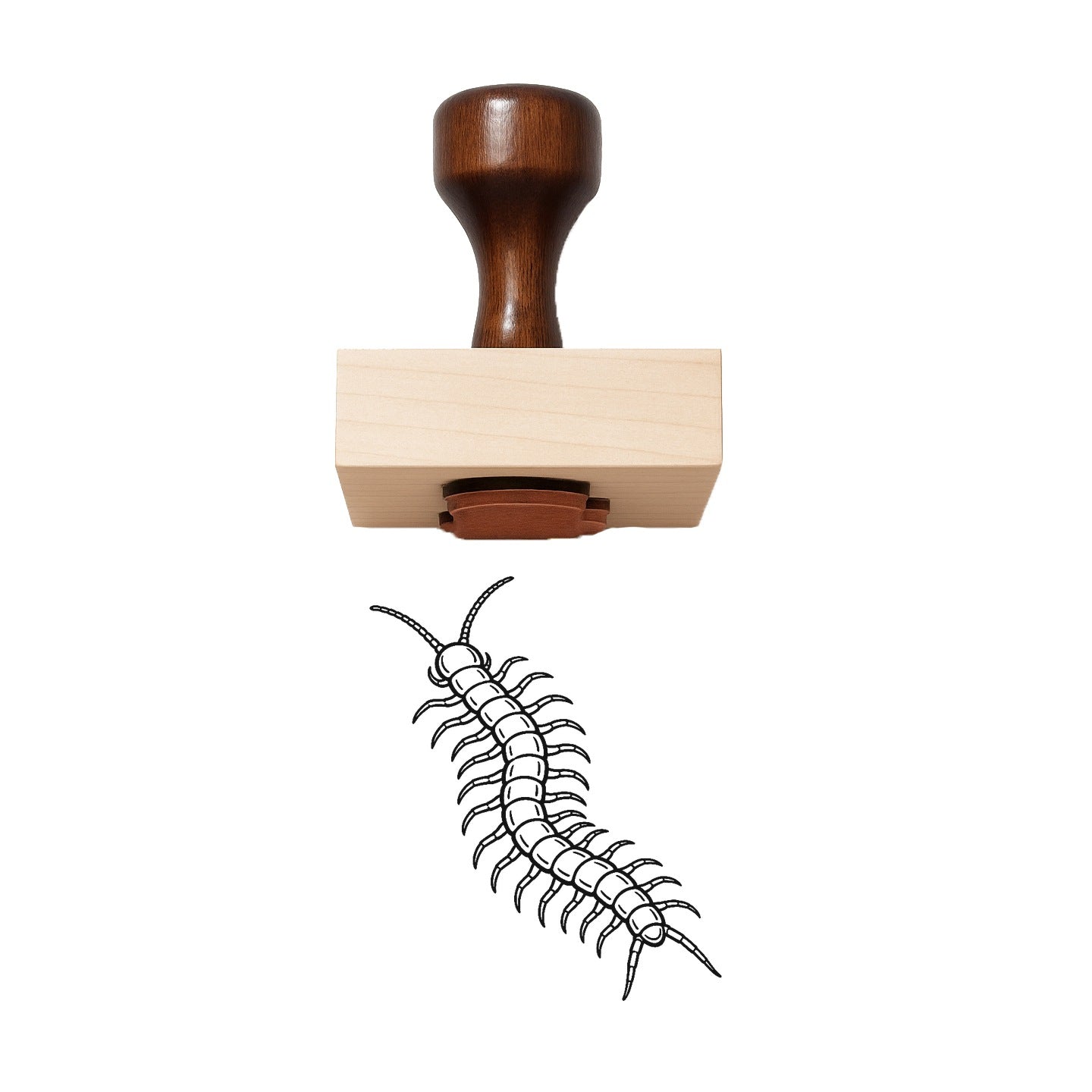 Centipede Rubber Stamp
