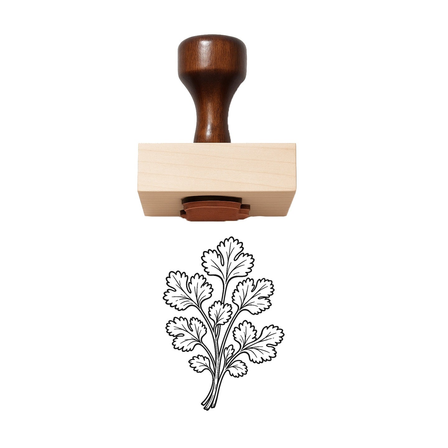 Cilantro Rubber Stamp