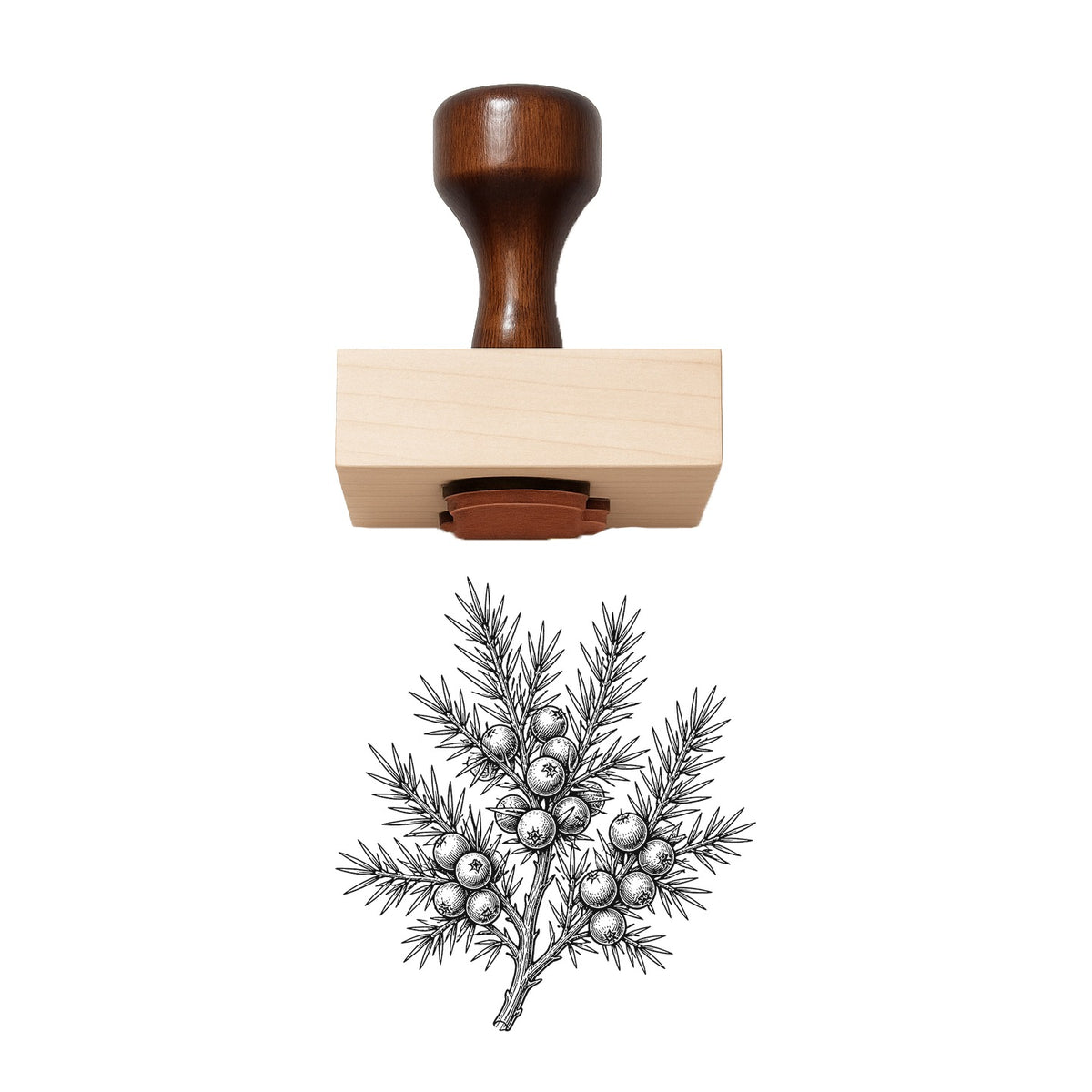 Juniper Berry Spray Rubber Stamp