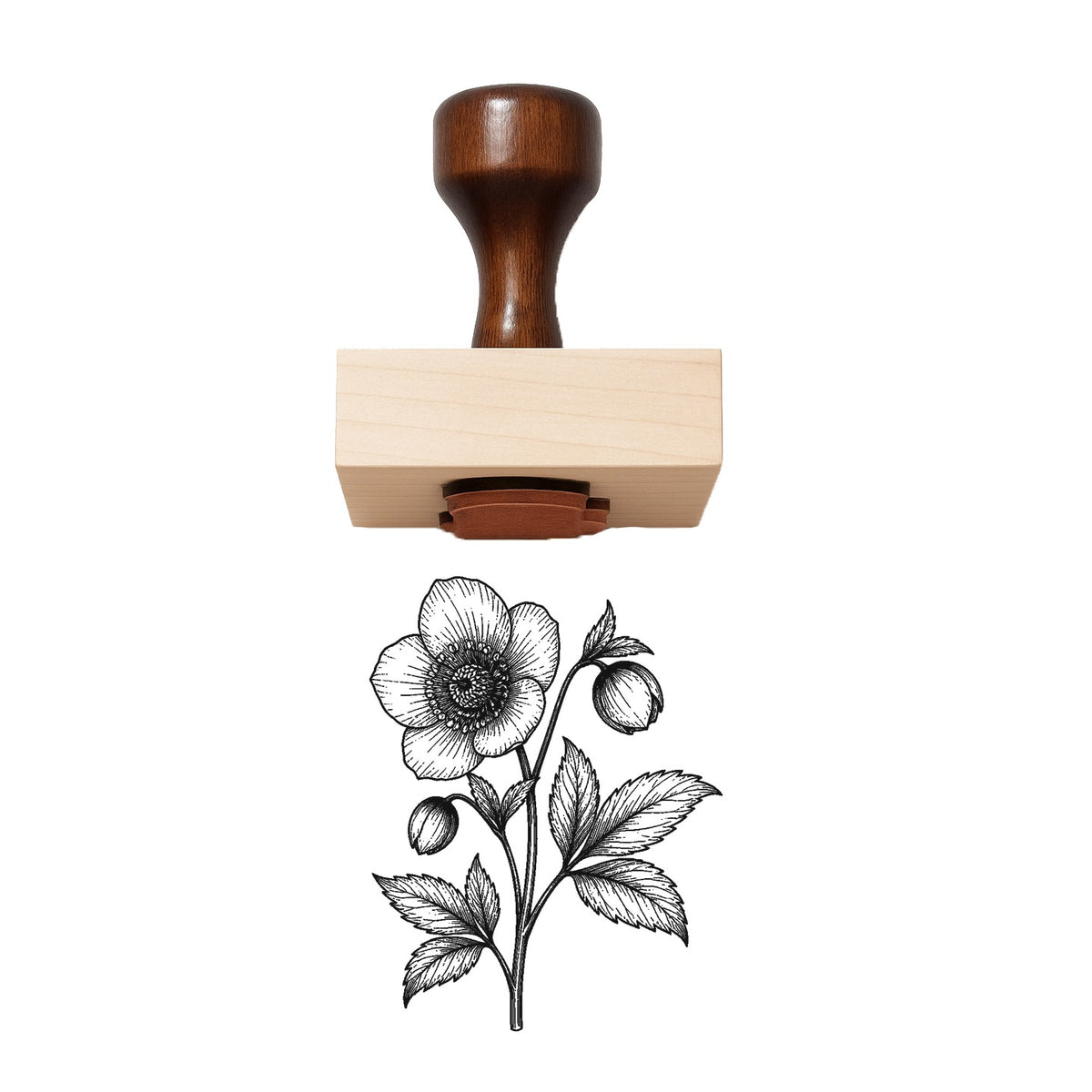 Name Full Stamp Prompt Hellebore Flower Stem Rubber Stamp