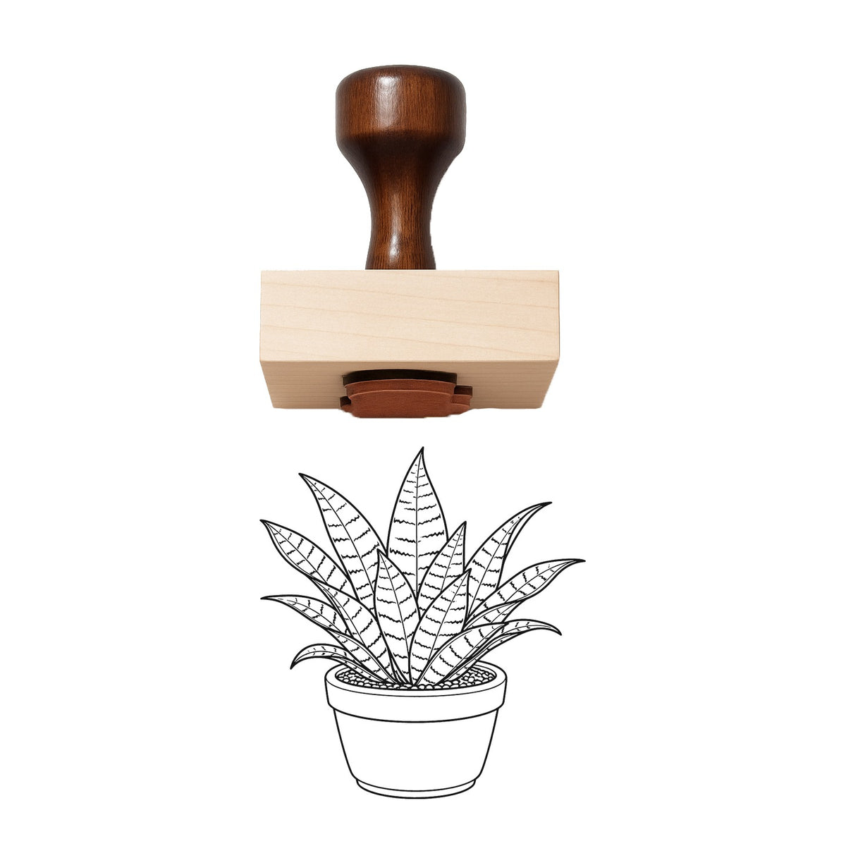 Potted Bird's Nest Snake Plant Rubber Stamp