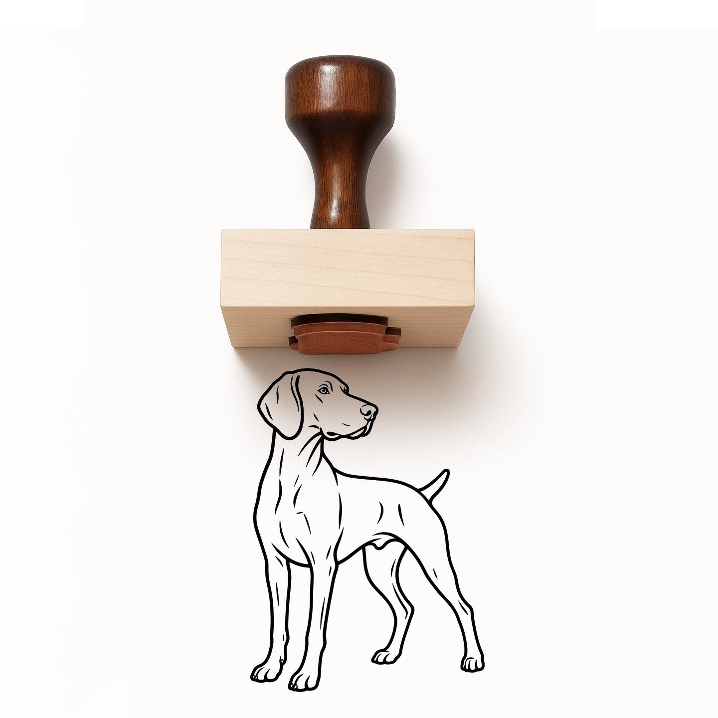 Weimaraner Rubber Stamp