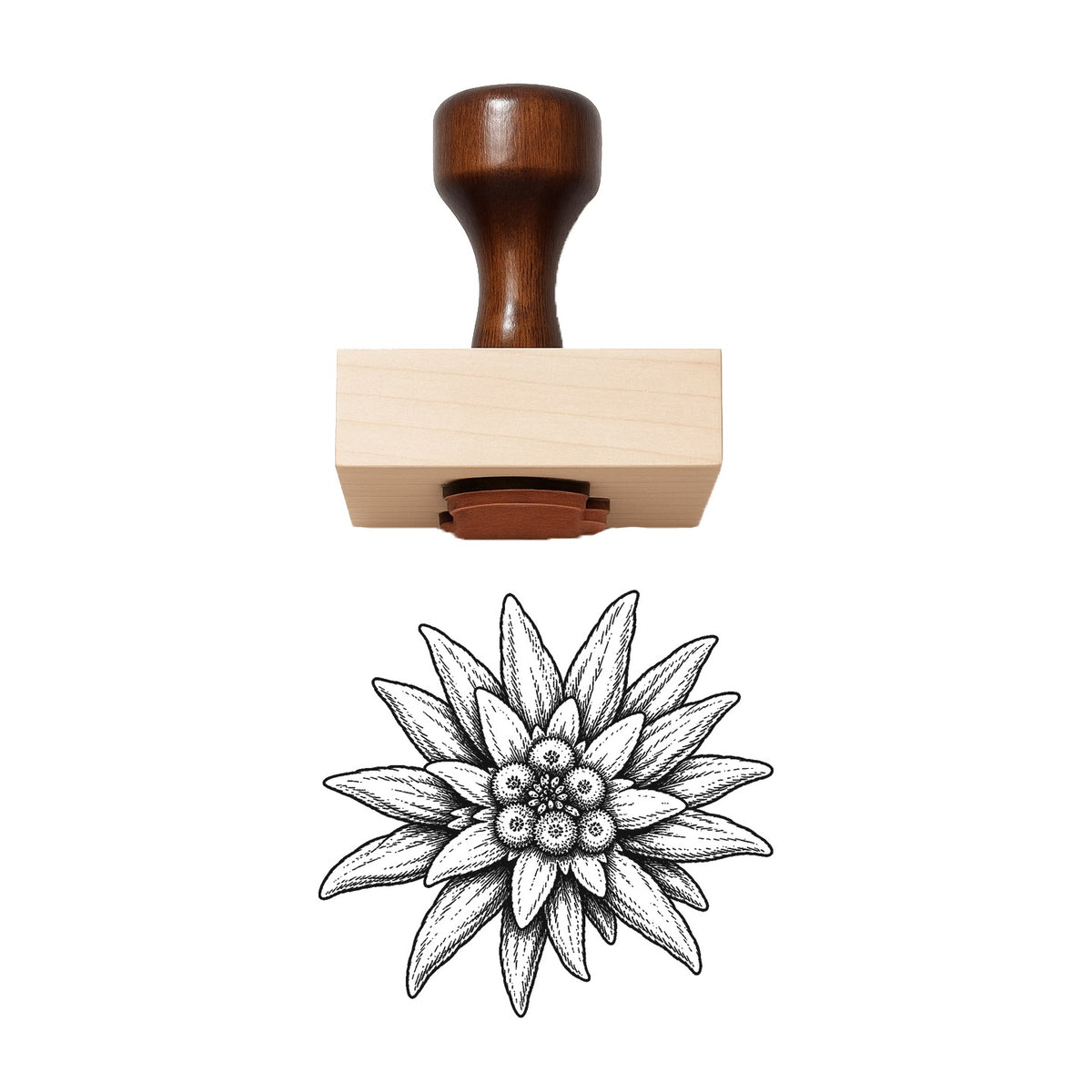 Edelweiss Bloom Head Rubber Stamp