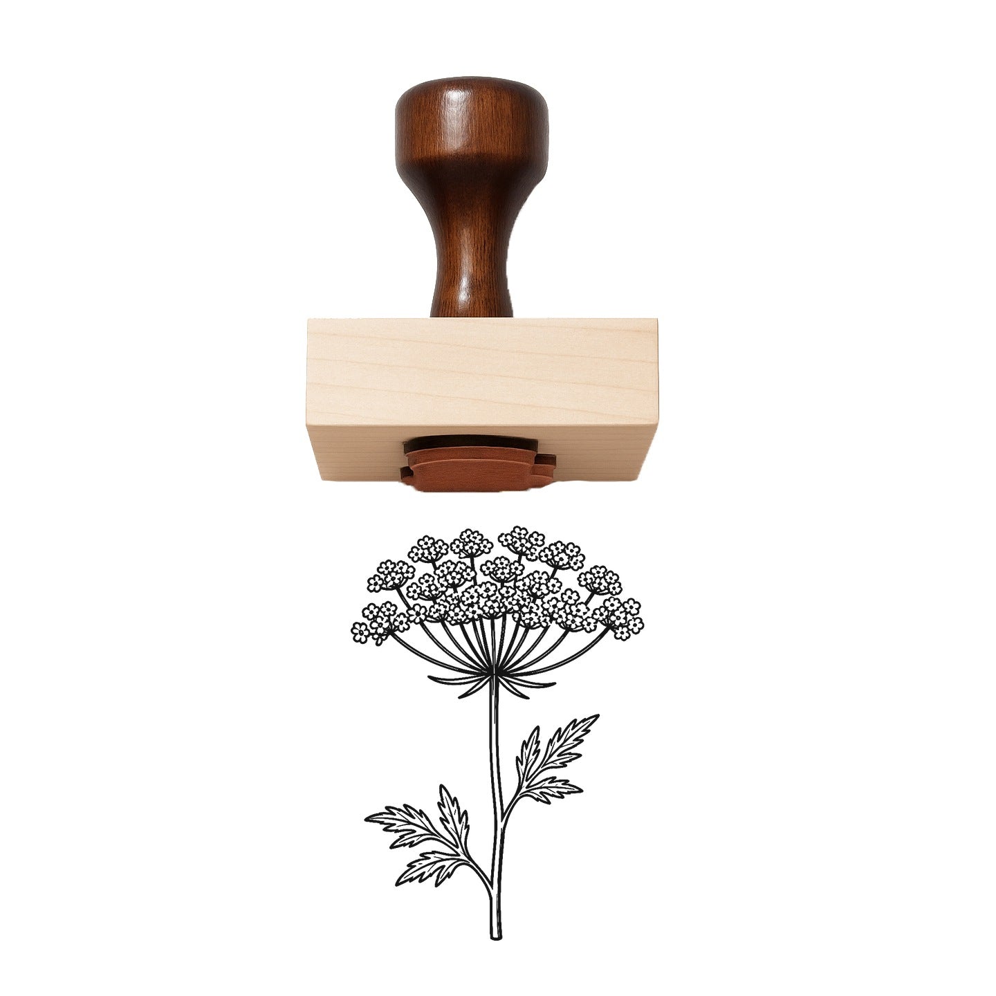 Vintage Queen Anne's Lace Flower Rubber Stamp