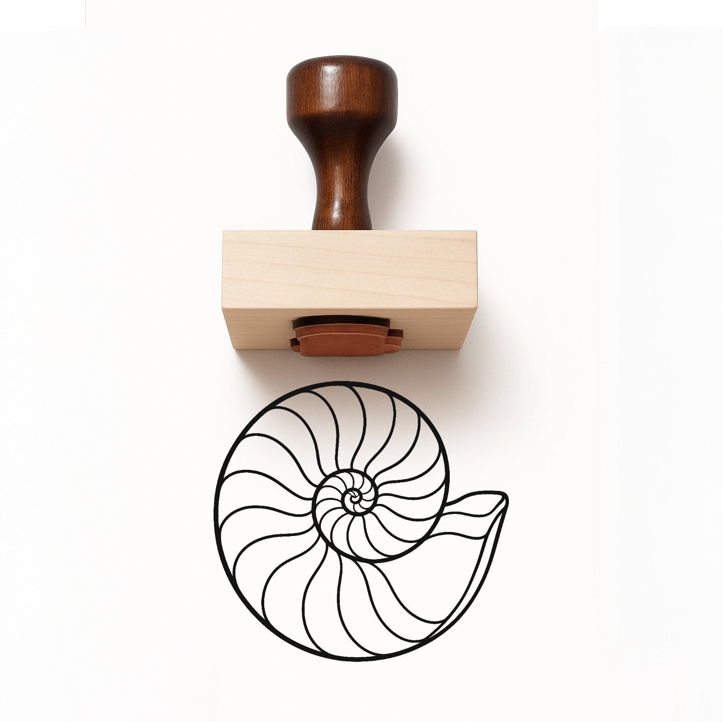 Nautilus Shell Rubber Stamp