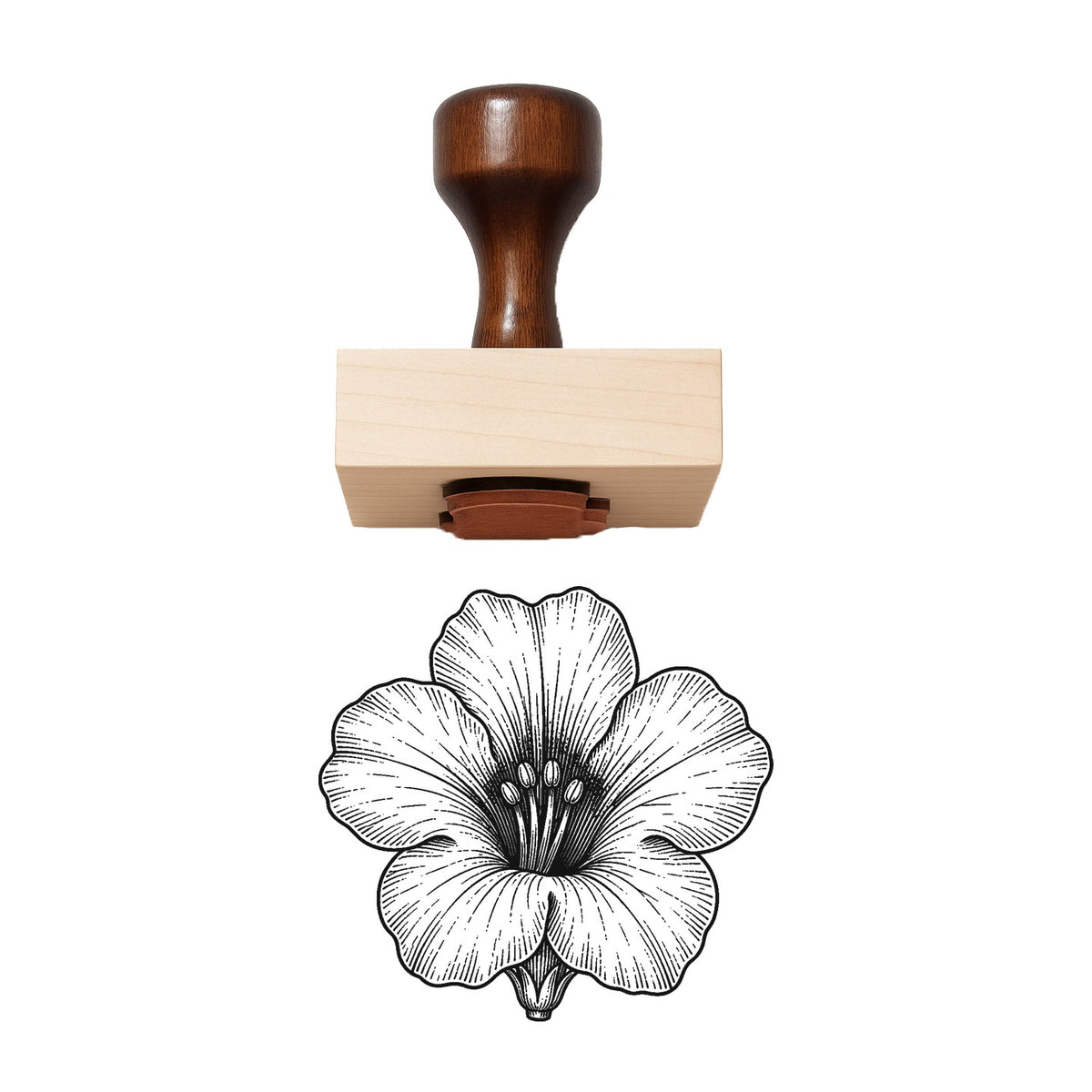 Cape Primrose Bloom Head Rubber Stamp