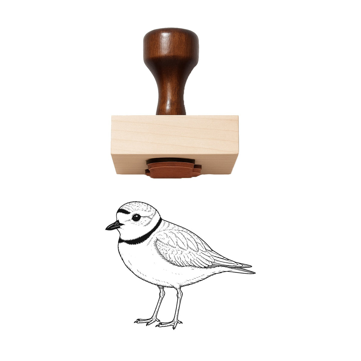 Piping Plover Rubber Stamp